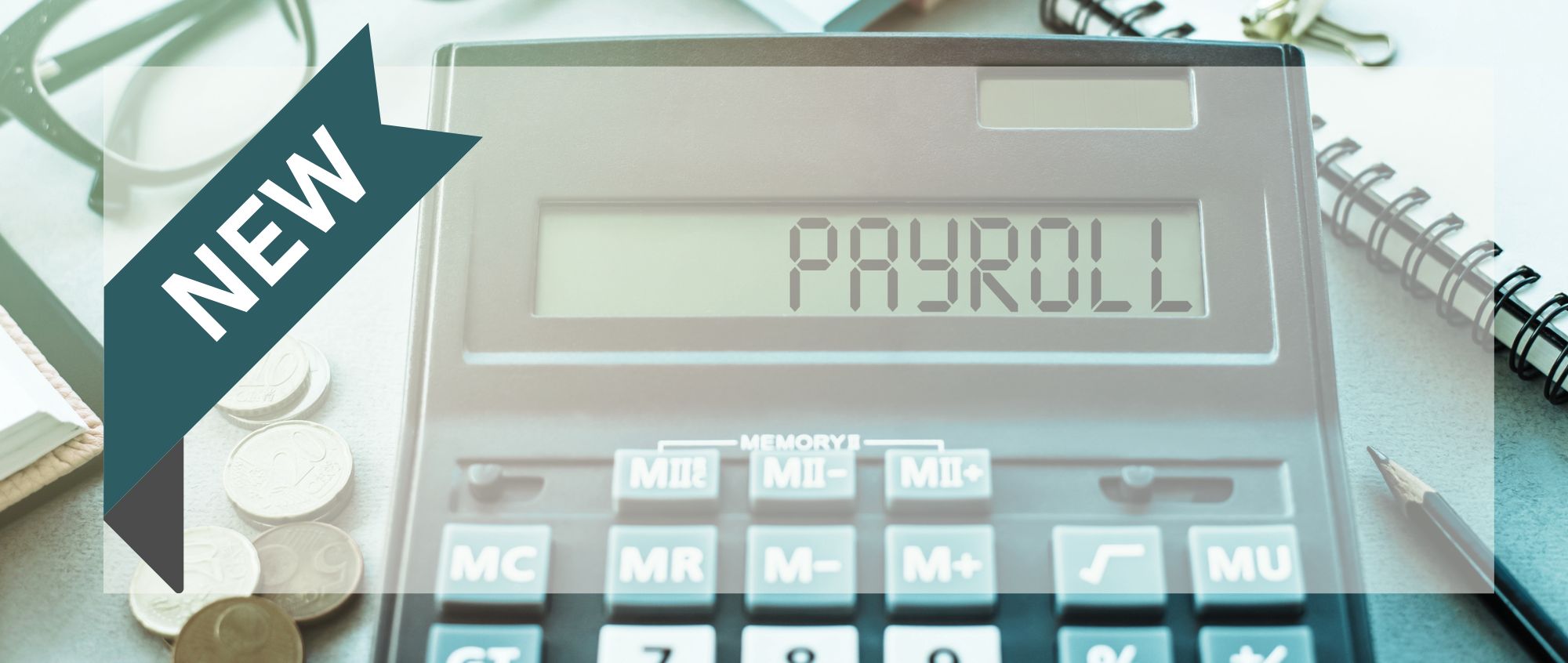 Mondial Uitzend further expands its services: Mondial Payroll News